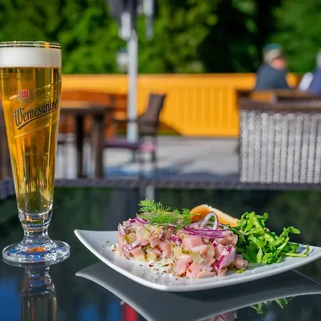 Waldhotel Vogtland Hotel