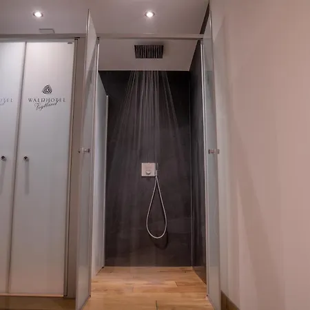 Waldhotel Vogtland فندق