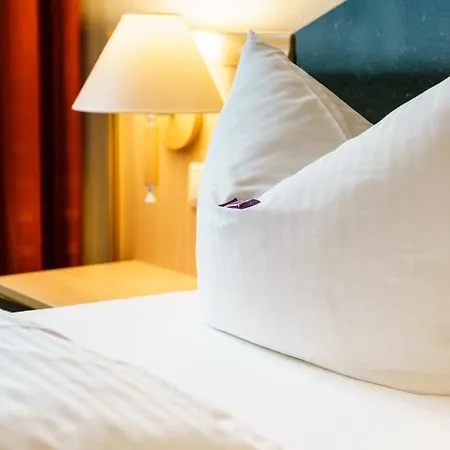 Waldhotel Vogtland Hotel 3*