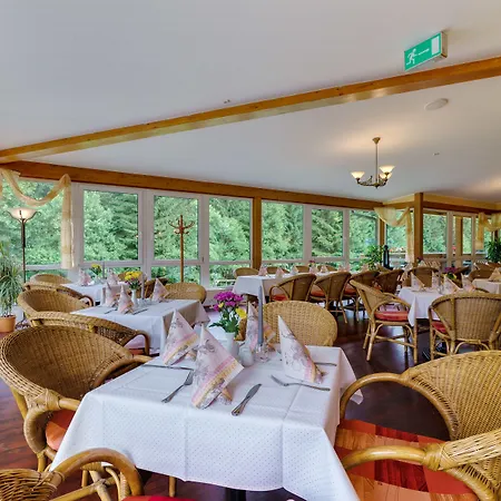 Waldhotel Vogtland Szálloda 3*