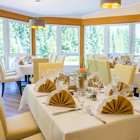 Hotel Waldhotel Vogtland Klingenthal