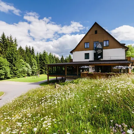 Waldhotel Vogtland 3* Klingenthal