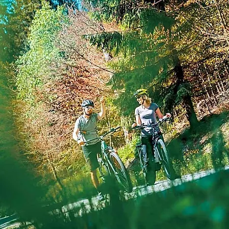 Waldhotel Vogtland Hotel Klingenthal