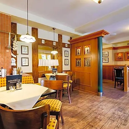 Waldhotel Vogtland 3* Klingenthal