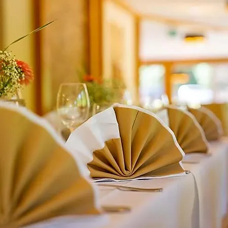 Hotel Waldhotel Vogtland 3*