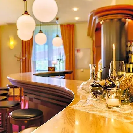 Waldhotel Vogtland 3*