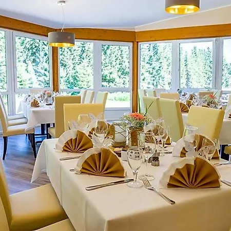 Hotel Waldhotel Vogtland Klingenthal