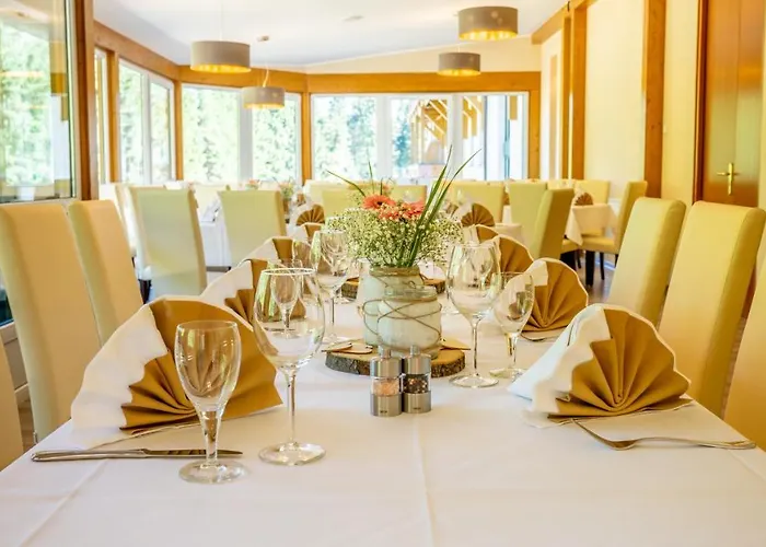 Waldhotel Vogtland فندق 3*