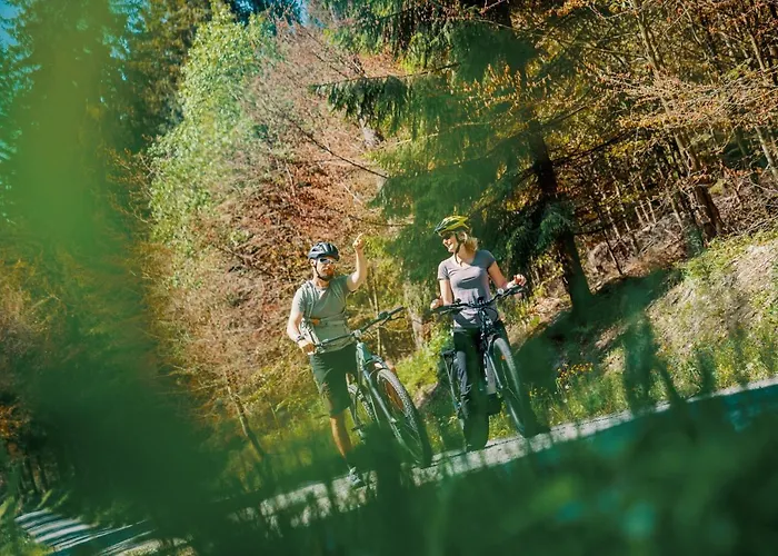 فندق Waldhotel Vogtland كلينغنتال