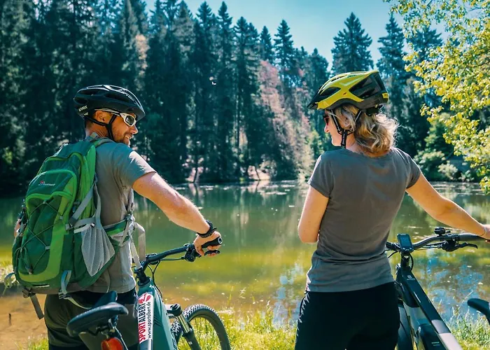 فندق Waldhotel Vogtland كلينغنتال