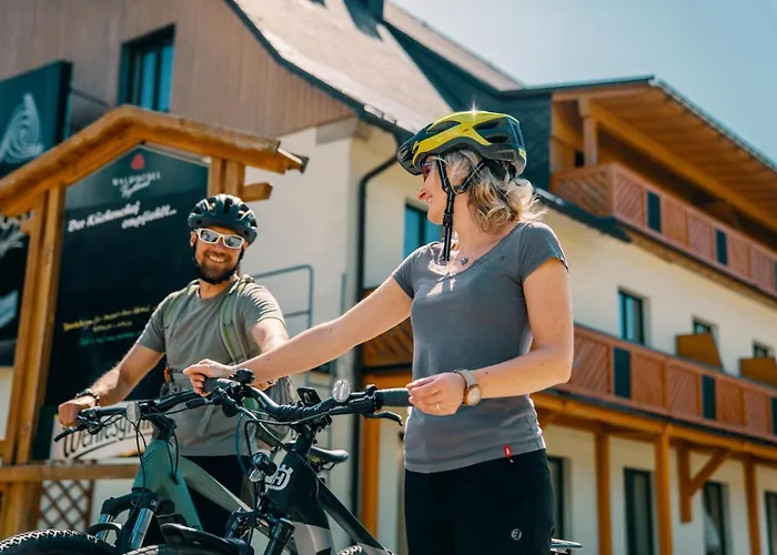 فندق Waldhotel Vogtland 3*