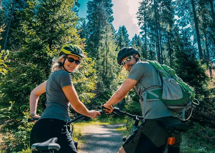 Waldhotel Vogtland فندق