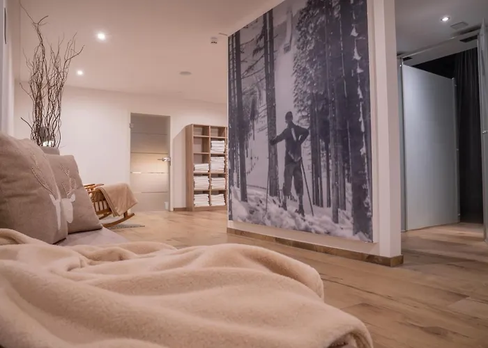 فندق Waldhotel Vogtland 3*