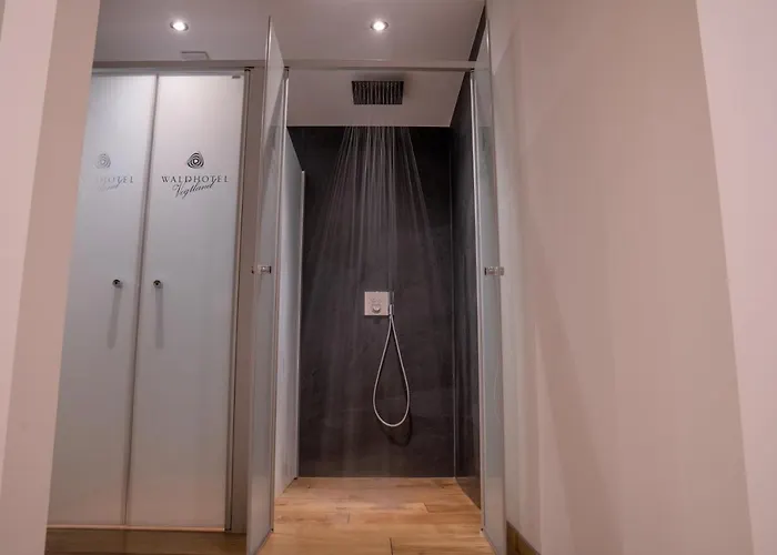 Waldhotel Vogtland فندق