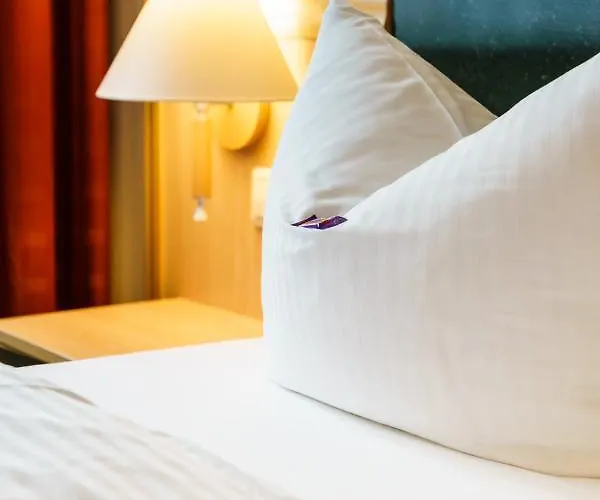 Waldhotel Vogtland فندق 3*