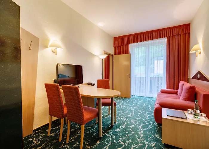 فندق Waldhotel Vogtland 3*