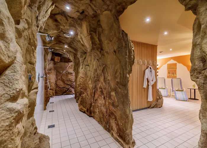 Waldhotel Vogtland فندق