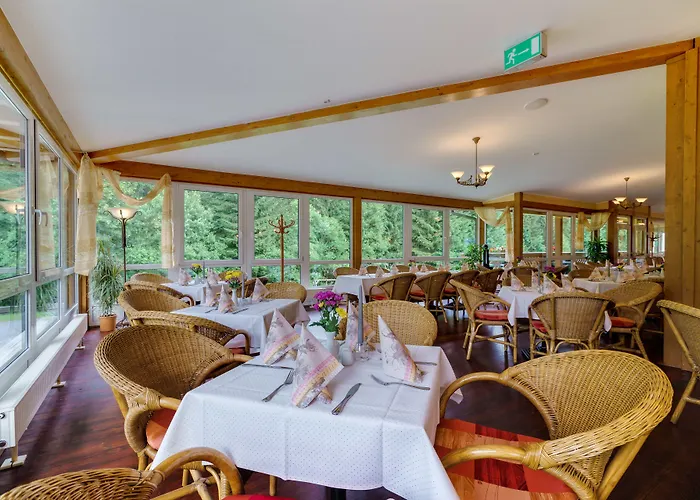 Waldhotel Vogtland فندق 3*