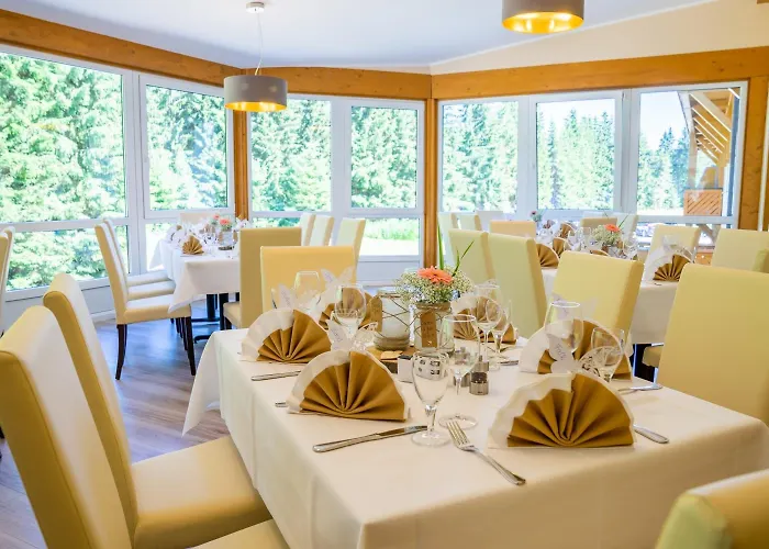 فندق Waldhotel Vogtland كلينغنتال