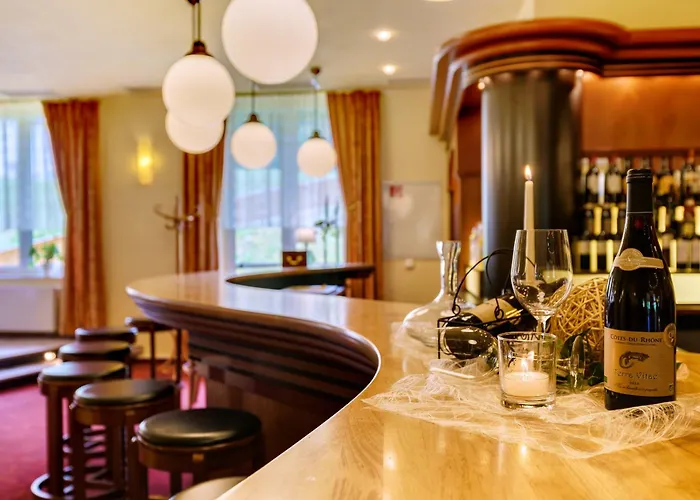 Waldhotel Vogtland فندق