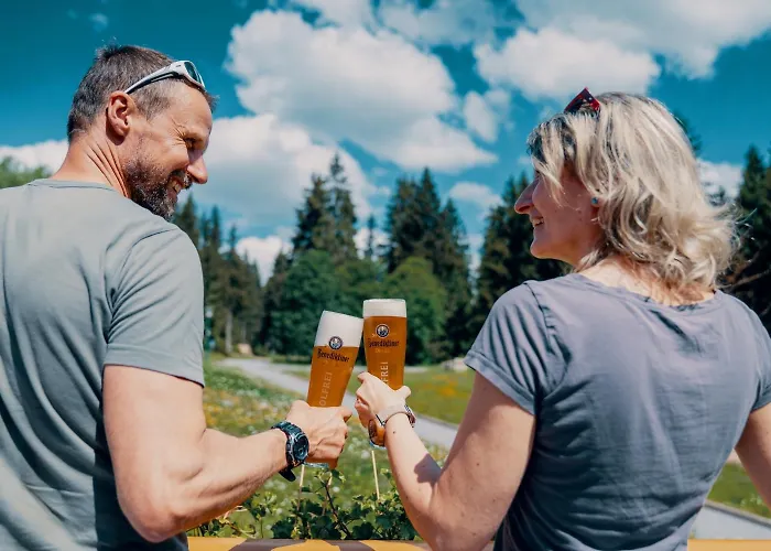 فندق Waldhotel Vogtland