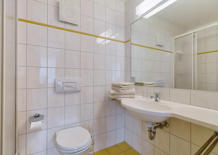 فندق Waldhotel Vogtland 3*