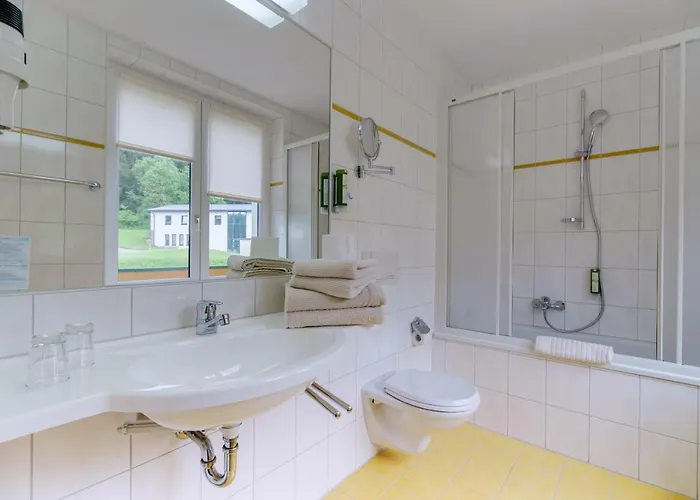 فندق Waldhotel Vogtland 3*